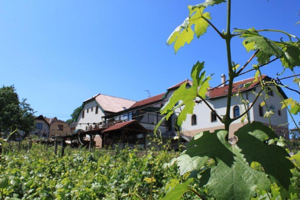 Hotel Vinohrad Milotice Exterior foto